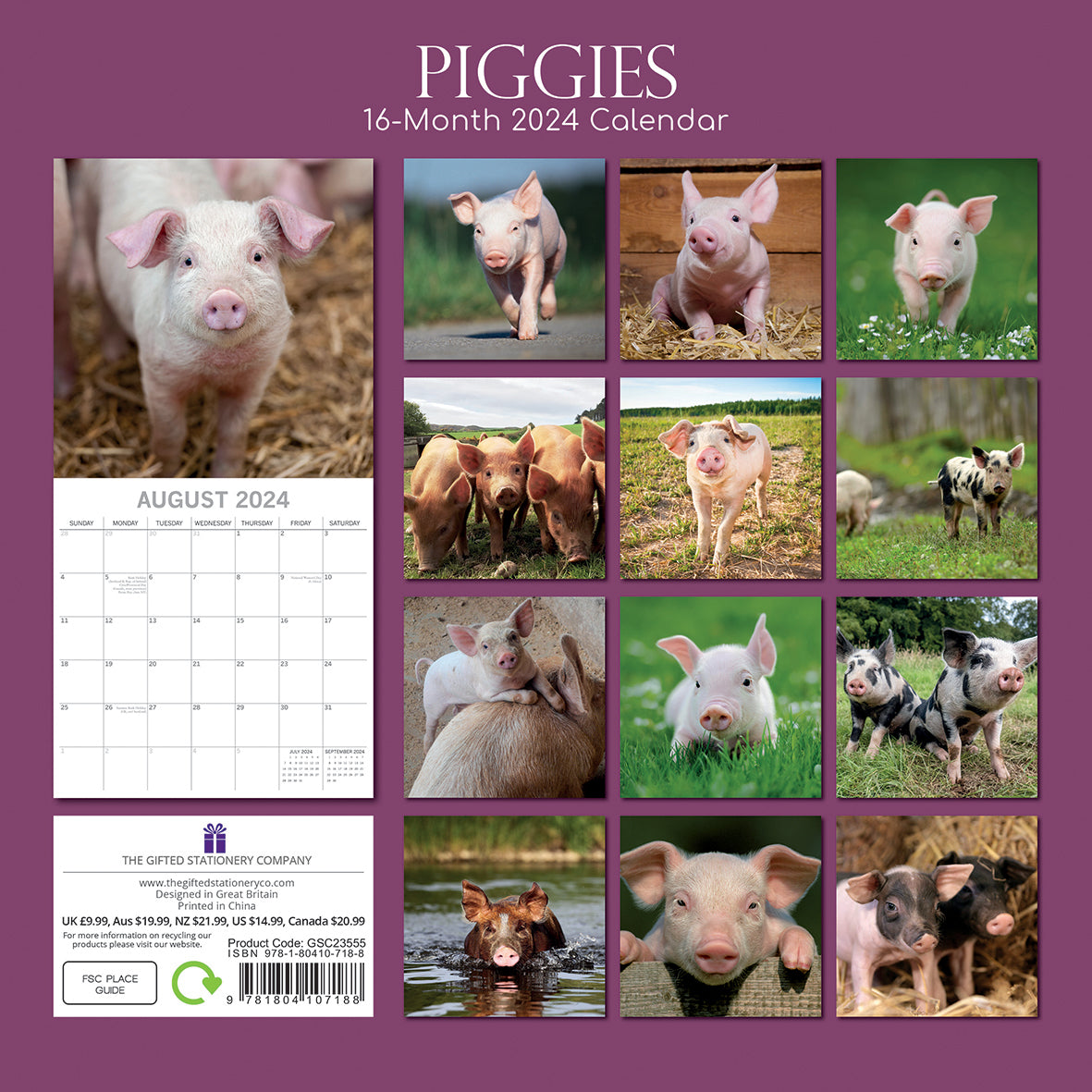 Piggies - 2024 Square Wall Calendar Pets Animals 16 Months New Year Gift Planner V474-615340