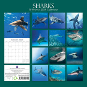 Sharks 2024 Square Wall Calendar Pets Animals 16Month New Year Christmas Planner V474-615341