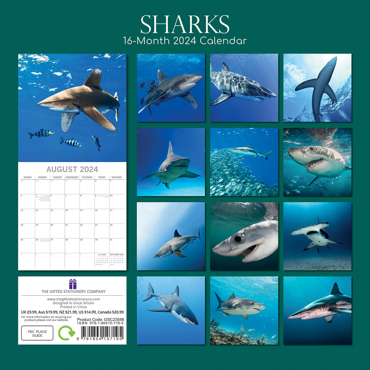 Sharks 2024 Square Wall Calendar Pets Animals 16Month New Year Christmas Planner V474-615341