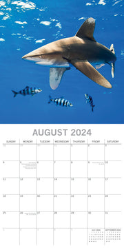 Sharks 2024 Square Wall Calendar Pets Animals 16Month New Year Christmas Planner V474-615341