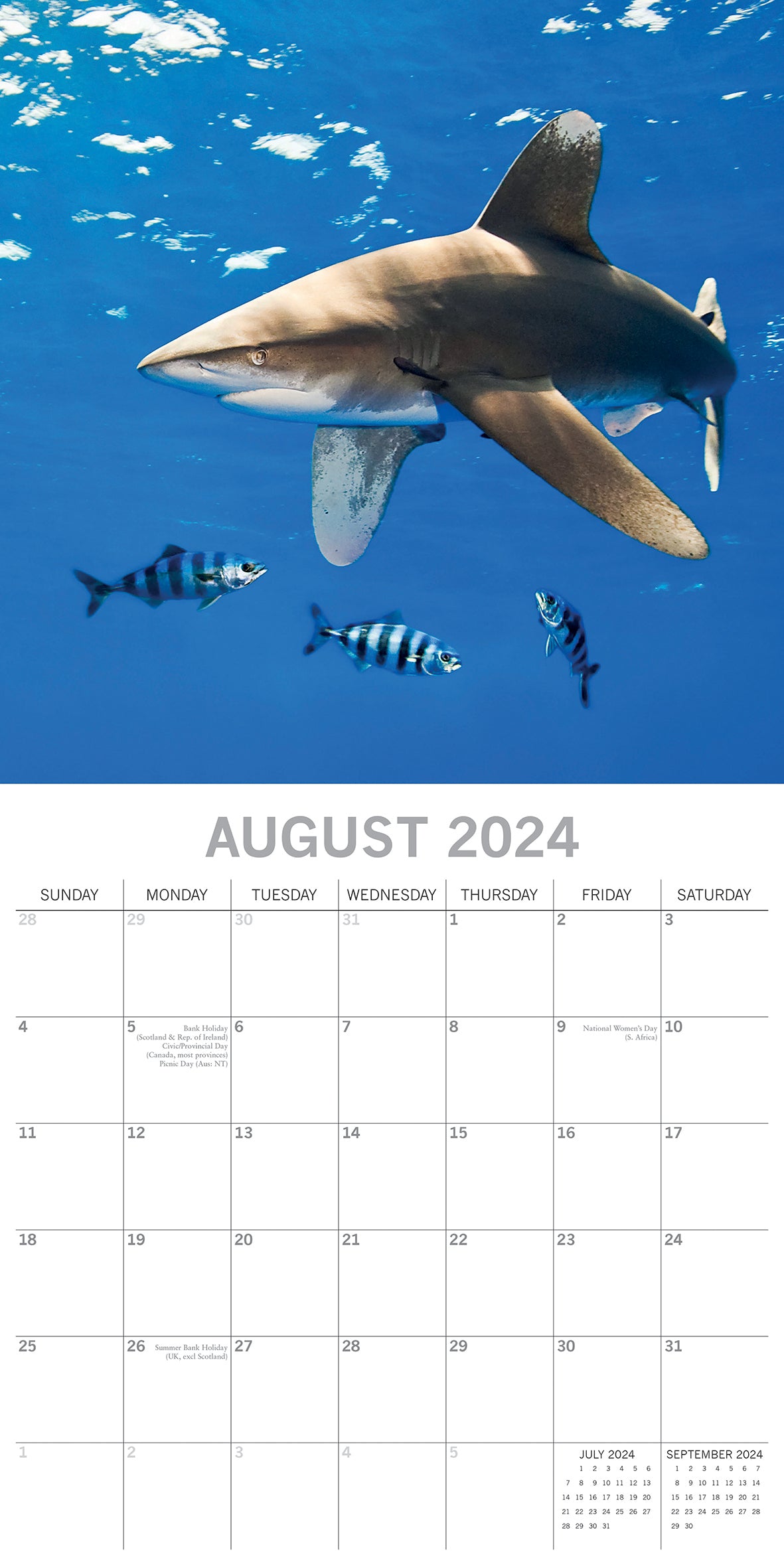 Sharks 2024 Square Wall Calendar Pets Animals 16Month New Year Christmas Planner V474-615341