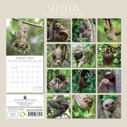 Sloths - 2024 Square Wall Calendar Pets Animals 16 Months New Year Gift Planner V474-615342