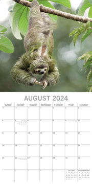 Sloths - 2024 Square Wall Calendar Pets Animals 16 Months New Year Gift Planner V474-615342