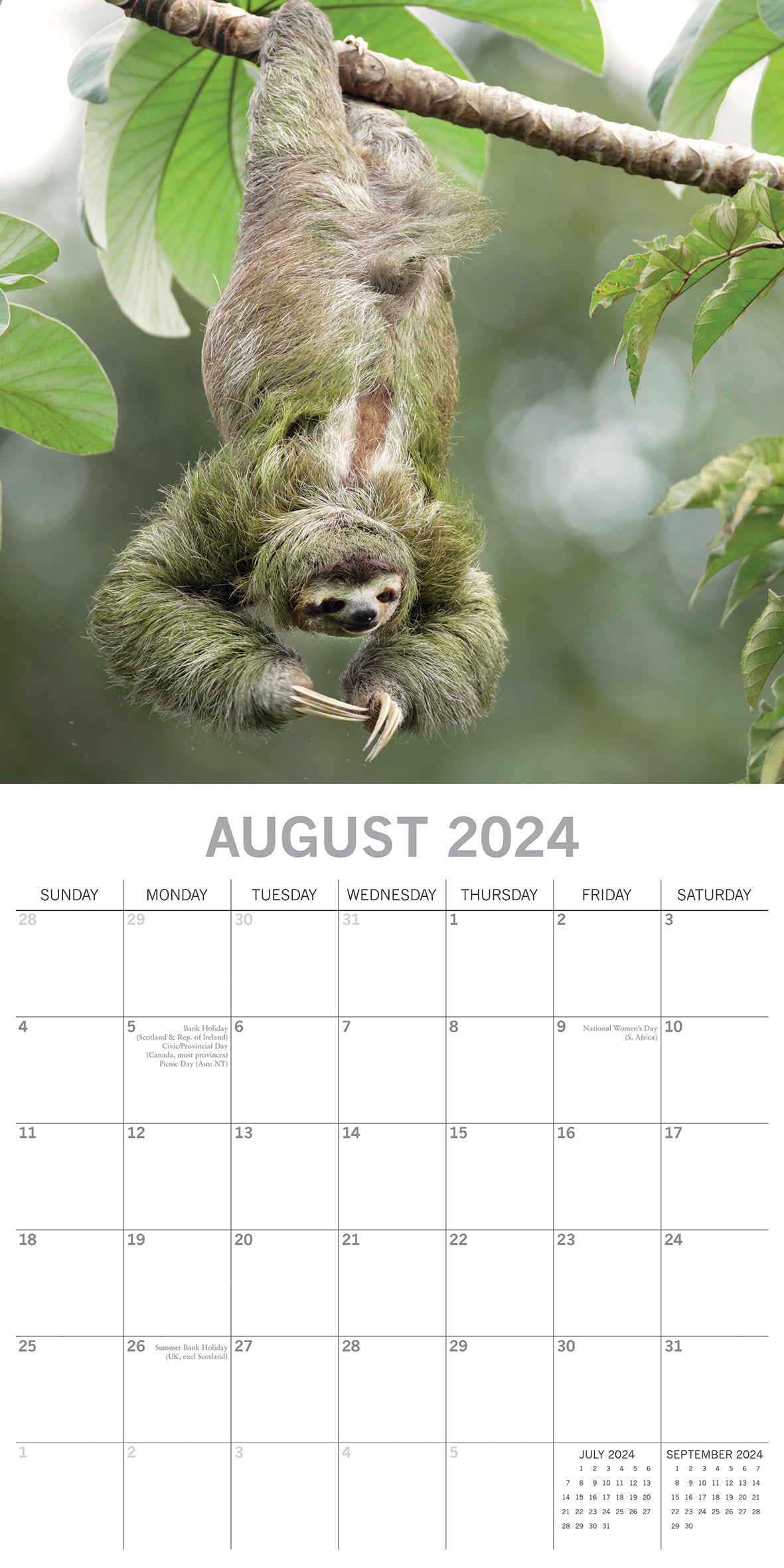 Sloths - 2024 Square Wall Calendar Pets Animals 16 Months New Year Gift Planner V474-615342