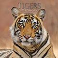 Tigers - 2024 Square Wall Calendar Pets Animals 16 Months New Year Gift Planner V474-615343