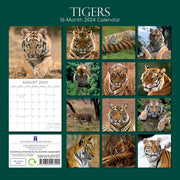 Tigers - 2024 Square Wall Calendar Pets Animals 16 Months New Year Gift Planner V474-615343