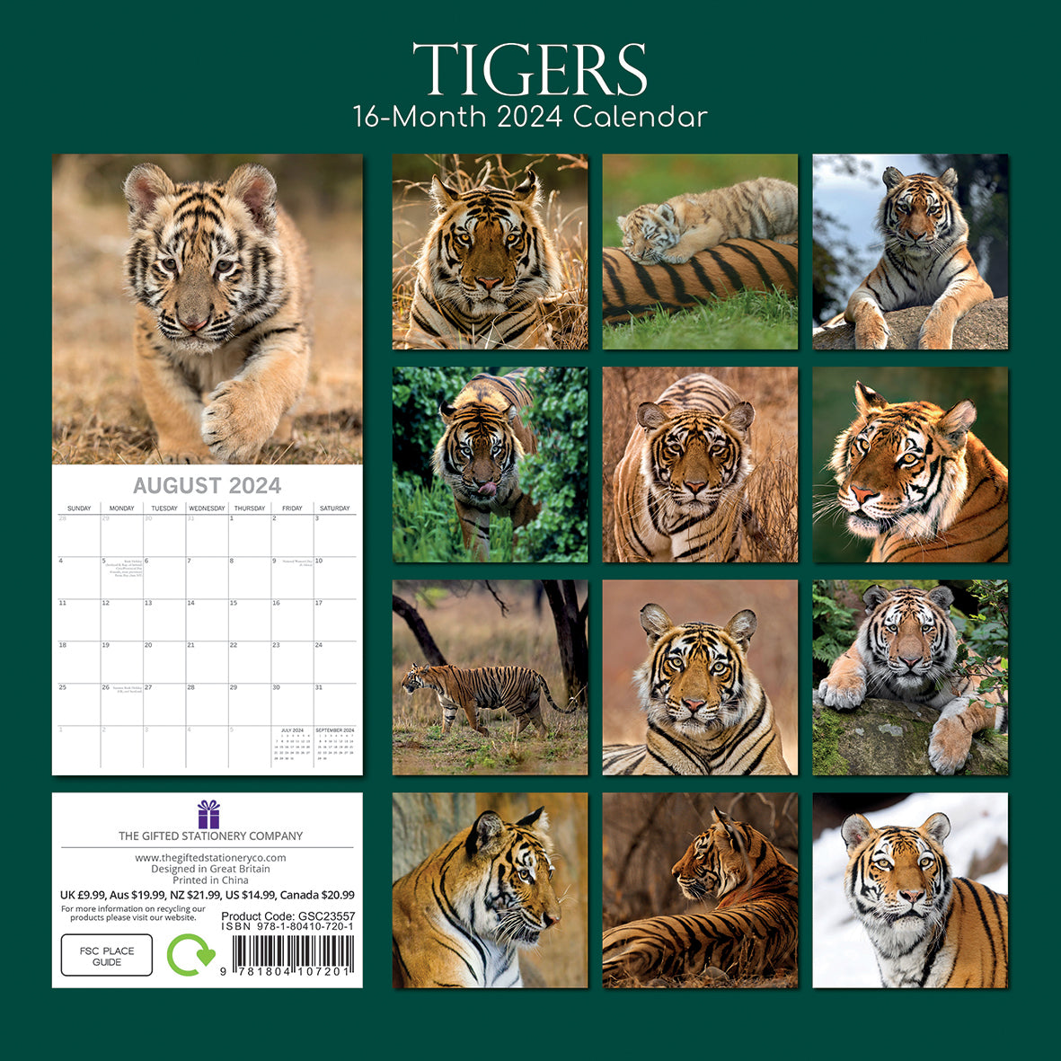 Tigers - 2024 Square Wall Calendar Pets Animals 16 Months New Year Gift Planner V474-615343