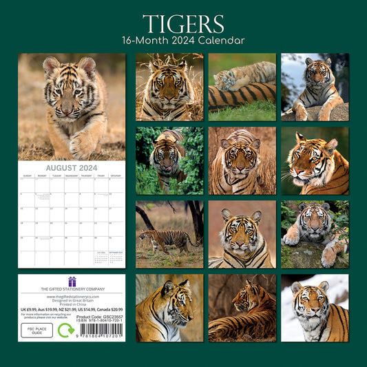 Tigers - 2024 Square Wall Calendar Pets Animals 16 Months New Year Gift Planner V474-615343