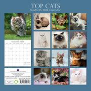 Top Cats - 2024 Square Wall Calendar Pets Animals 16 Months Premium Planner Gift V474-615344