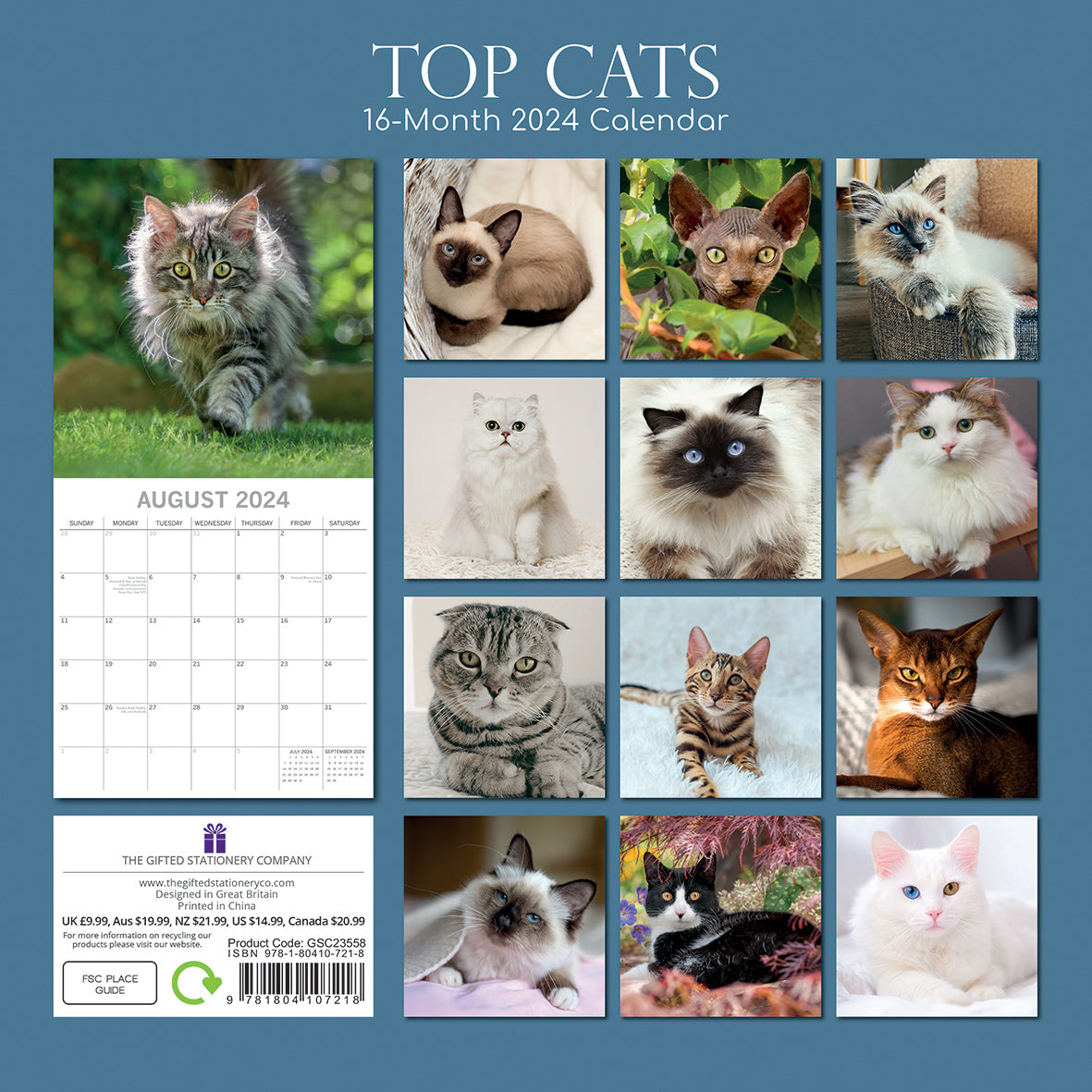 Top Cats - 2024 Square Wall Calendar Pets Animals 16 Months Premium Planner Gift V474-615344