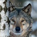 Wolves - 2024 Square Wall Calendar Pets Animals 16 Months Christmas Planner Gift V474-615345
