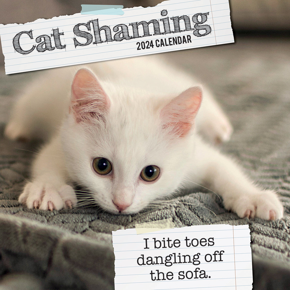 Cat Shaming - 2024 Square Wall Calendar Pets Animals 16 Months Premium Planner V474-615349