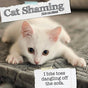 Cat Shaming - 2024 Square Wall Calendar Pets Animals 16 Months Premium Planner V474-615349