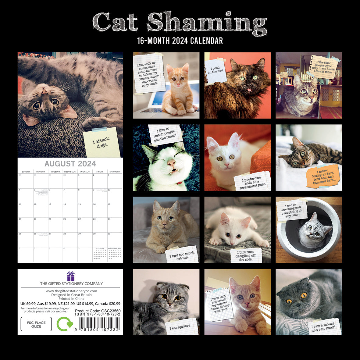 Cat Shaming - 2024 Square Wall Calendar Pets Animals 16 Months Premium Planner V474-615349