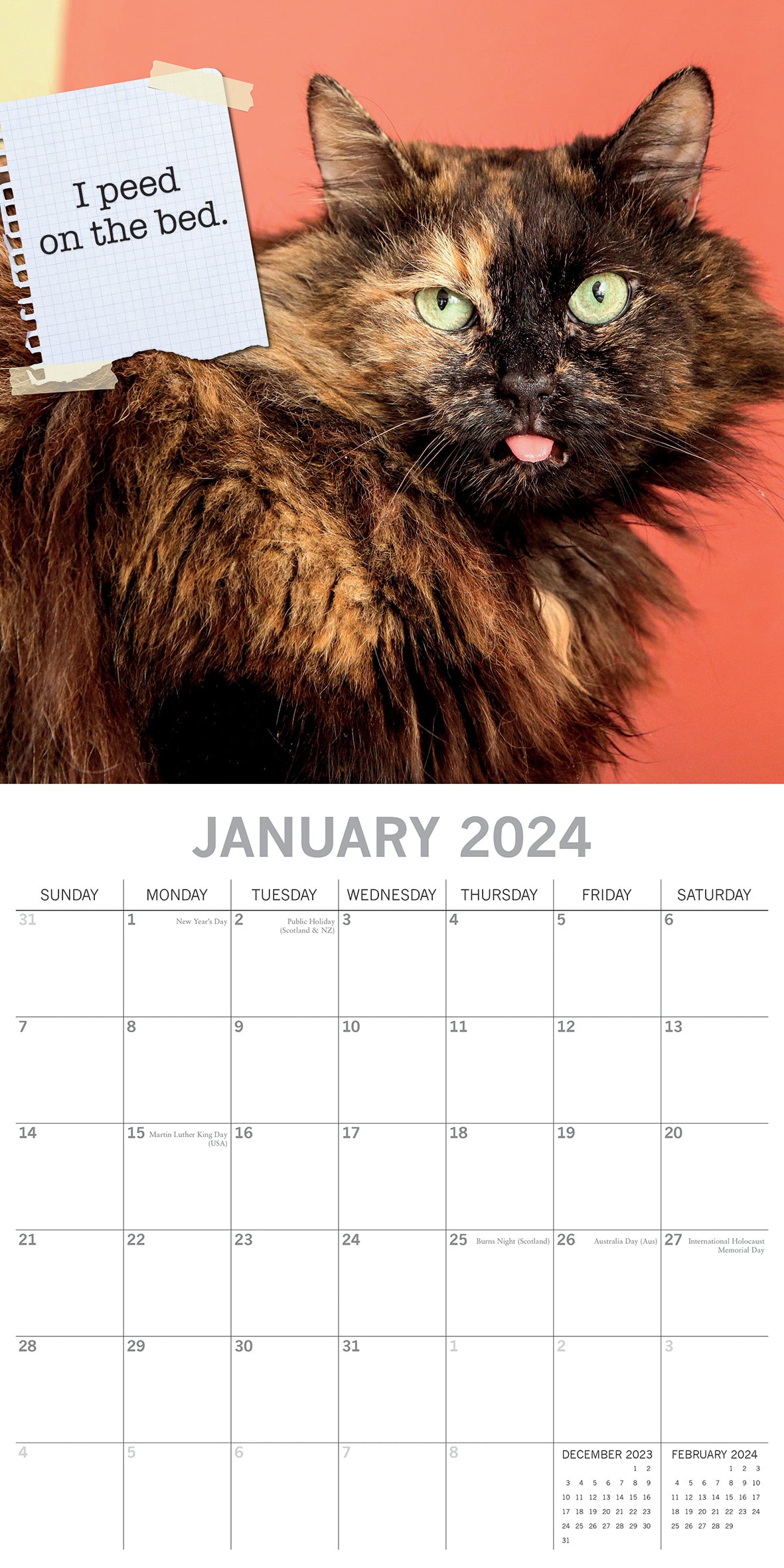 Cat Shaming - 2024 Square Wall Calendar Pets Animals 16 Months Premium Planner V474-615349