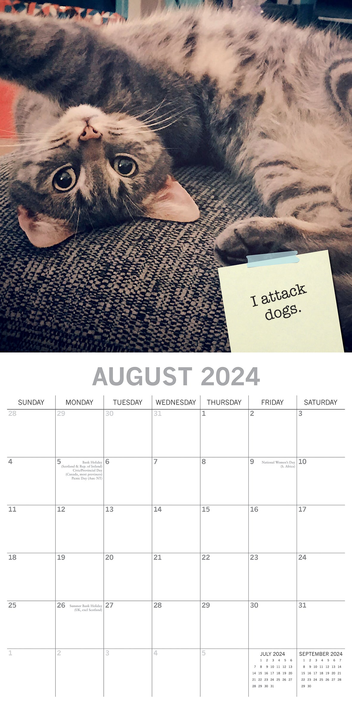 Cat Shaming - 2024 Square Wall Calendar Pets Animals 16 Months Premium Planner V474-615349