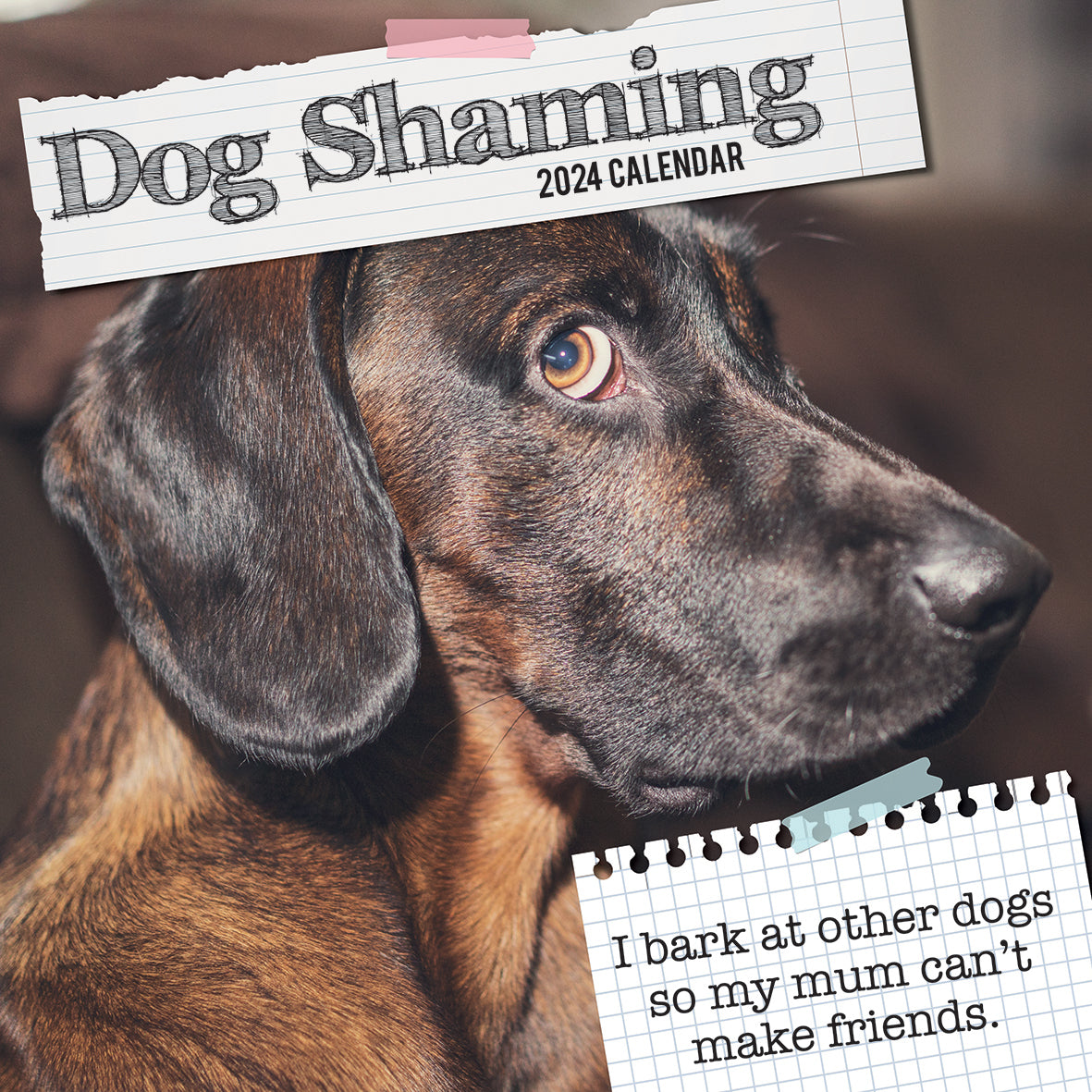 Dog Shaming - 2024 Square Wall Calendar Pets Animals 16 Months Premium Planner V474-615351