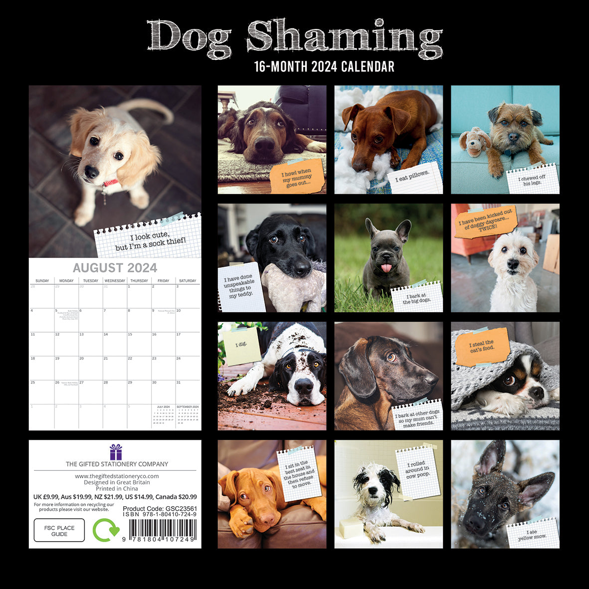 Dog Shaming - 2024 Square Wall Calendar Pets Animals 16 Months Premium Planner V474-615351