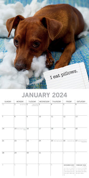 Dog Shaming - 2024 Square Wall Calendar Pets Animals 16 Months Premium Planner V474-615351