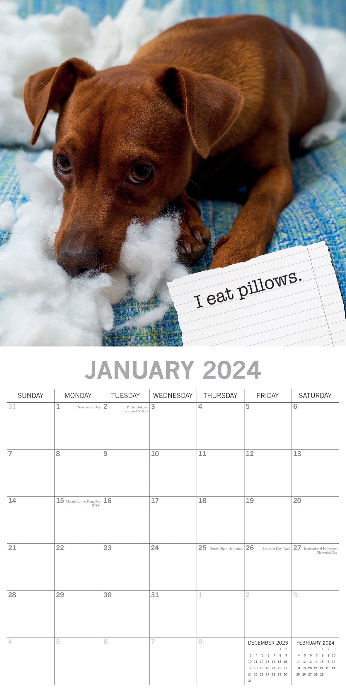 Dog Shaming - 2024 Square Wall Calendar Pets Animals 16 Months Premium Planner V474-615351