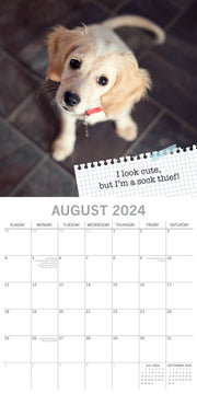 Dog Shaming - 2024 Square Wall Calendar Pets Animals 16 Months Premium Planner V474-615351