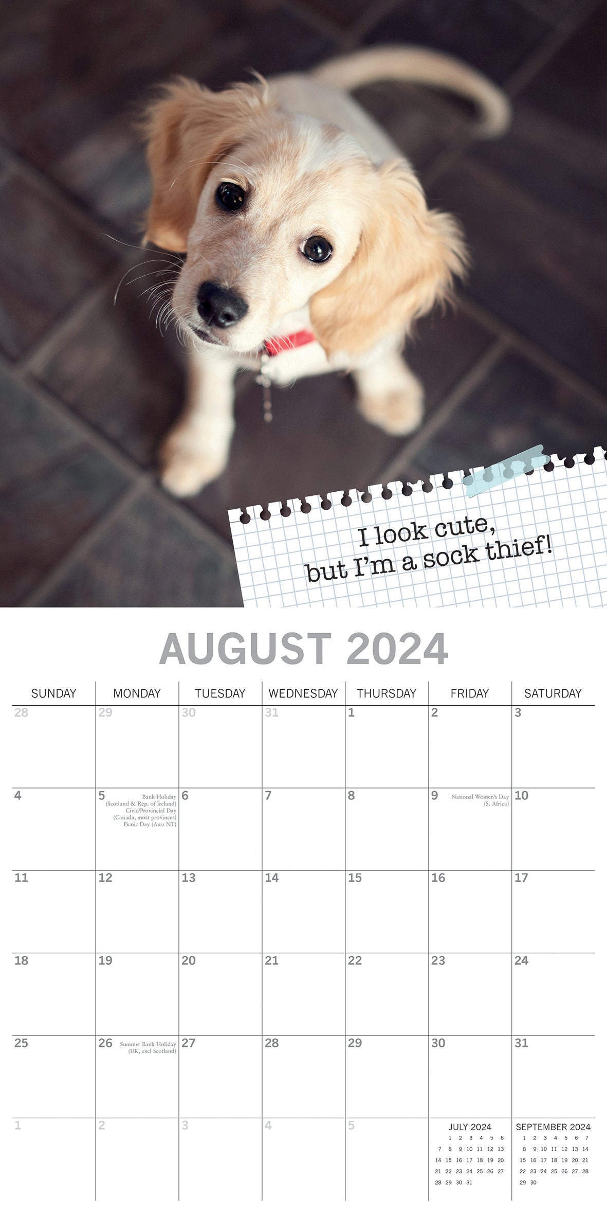 Dog Shaming - 2024 Square Wall Calendar Pets Animals 16 Months Premium Planner V474-615351