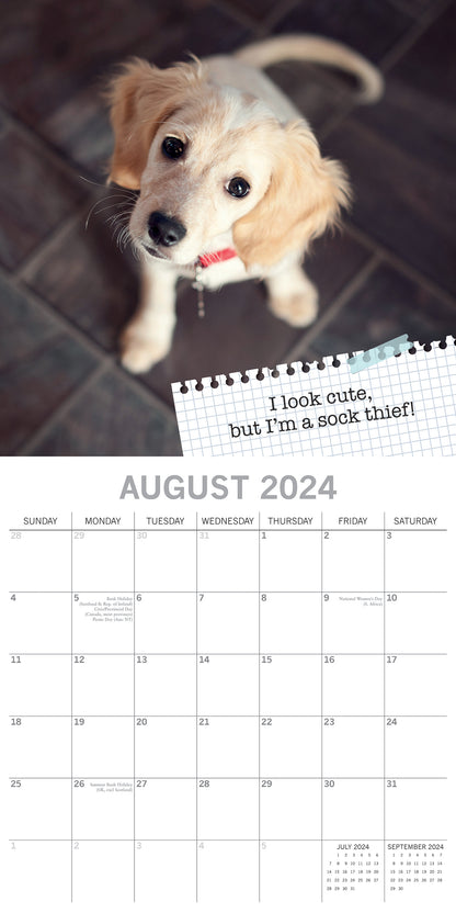 Dog Shaming - 2024 Square Wall Calendar Pets Animals 16 Months Premium Planner V474-615351