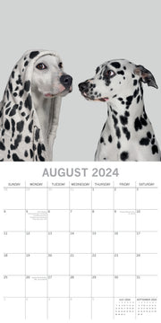 Dogs as Animals 2024 Square Wall Calendar Pets Animals 16 Months Premium Planner V474-615352