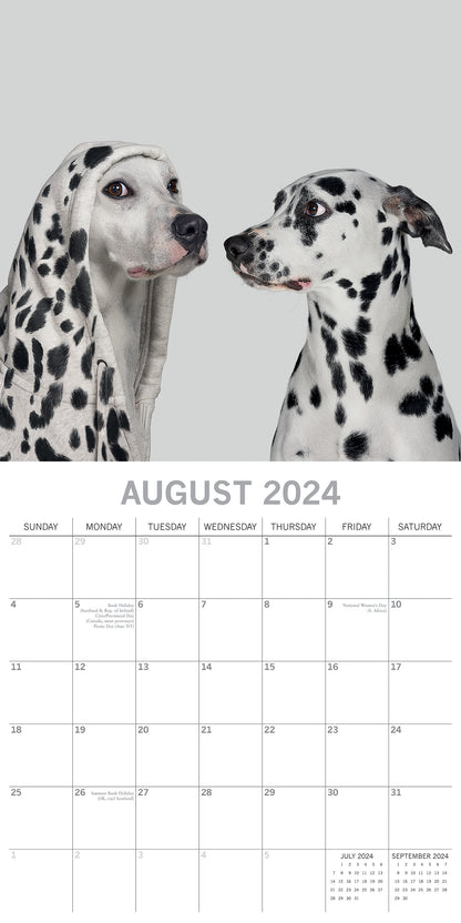 Dogs as Animals 2024 Square Wall Calendar Pets Animals 16 Months Premium Planner V474-615352