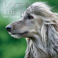 Dogs in the Wind 2024 Square Wall Calendar Pets Animals 16 Month Premium Planner V474-615353