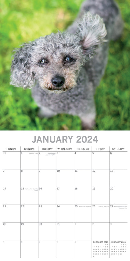 Dogs in the Wind 2024 Square Wall Calendar Pets Animals 16 Month Premium Planner V474-615353