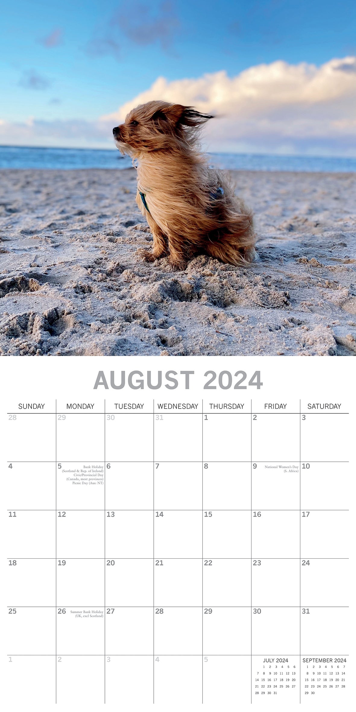 Dogs in the Wind 2024 Square Wall Calendar Pets Animals 16 Month Premium Planner V474-615353