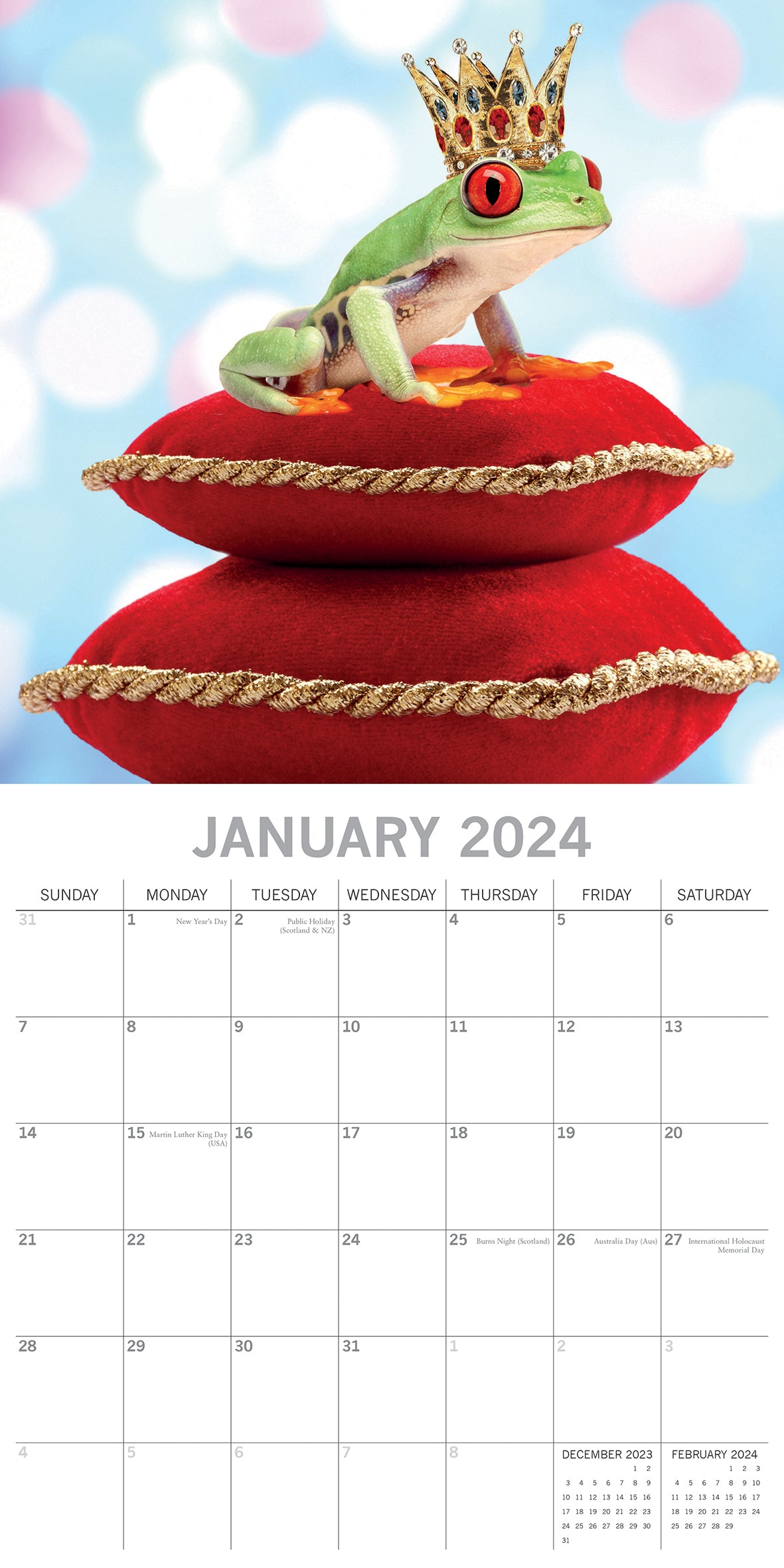 Fabulous Frogs - 2024 Square Wall Calendar Pets Animals 16 Month Premium Planner V474-615354