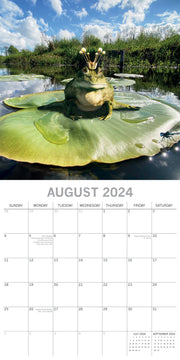 Fabulous Frogs - 2024 Square Wall Calendar Pets Animals 16 Month Premium Planner V474-615354