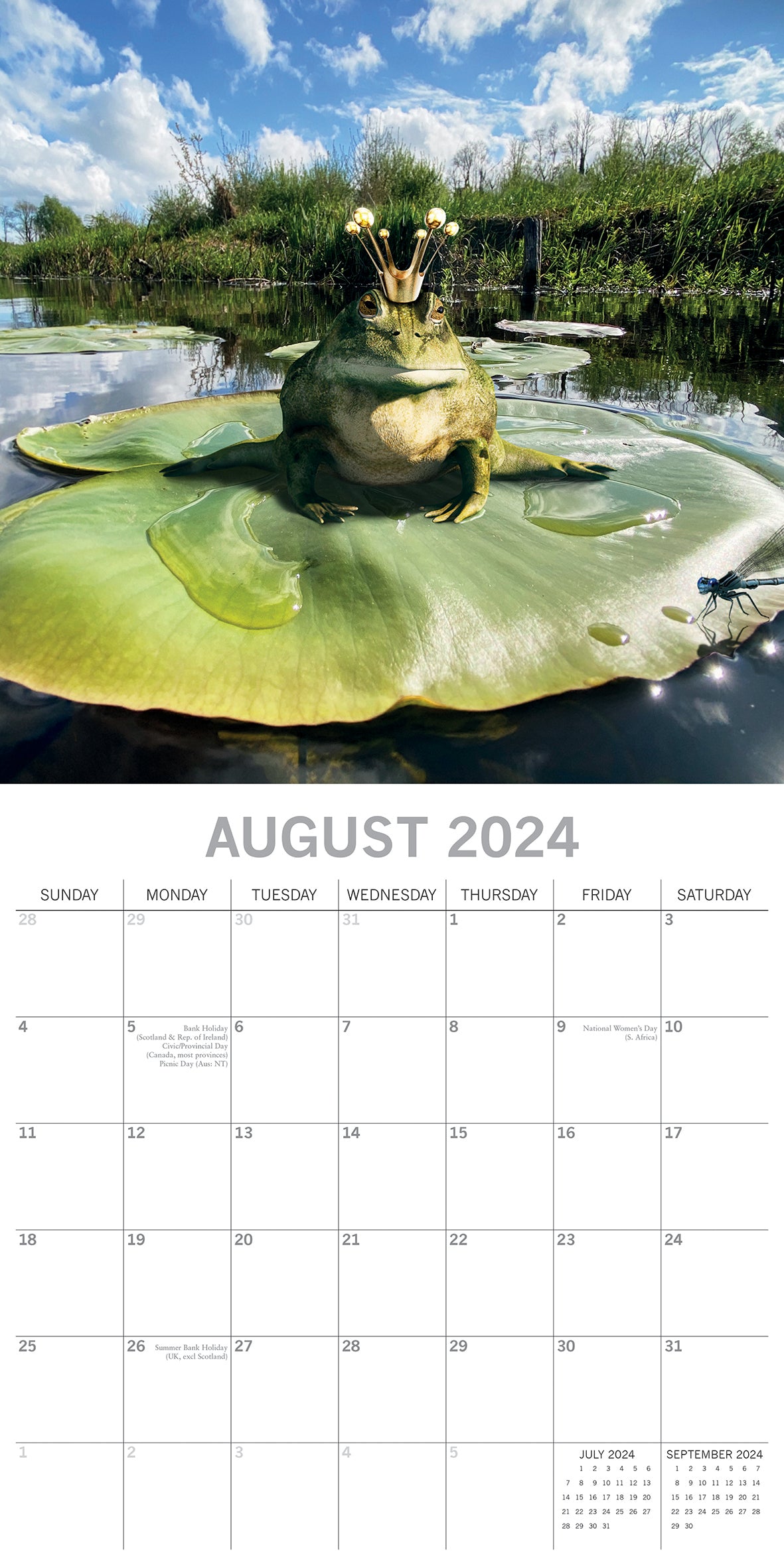 Fabulous Frogs - 2024 Square Wall Calendar Pets Animals 16 Month Premium Planner V474-615354