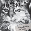 Moggies - 2024 Square Wall Calendar Pets Animals 16 Months Premium Planner Gift V474-615355