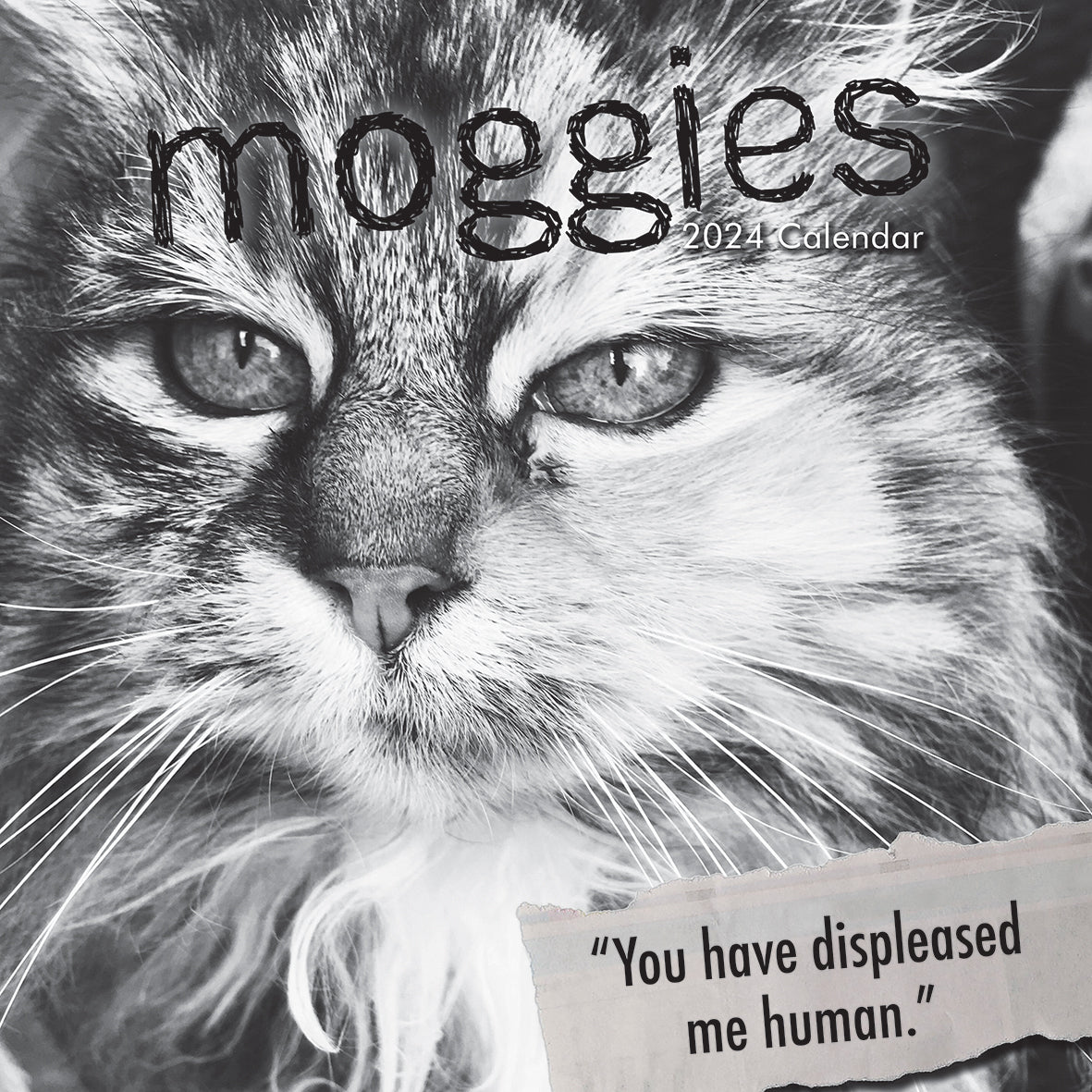 Moggies - 2024 Square Wall Calendar Pets Animals 16 Months Premium Planner Gift V474-615355