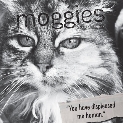 Moggies - 2024 Square Wall Calendar Pets Animals 16 Months Premium Planner Gift V474-615355