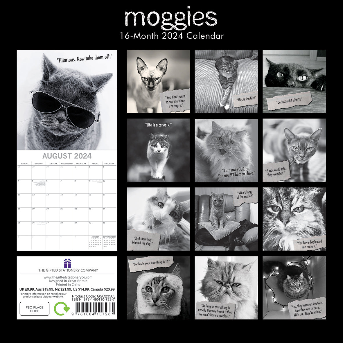 Moggies - 2024 Square Wall Calendar Pets Animals 16 Months Premium Planner Gift V474-615355