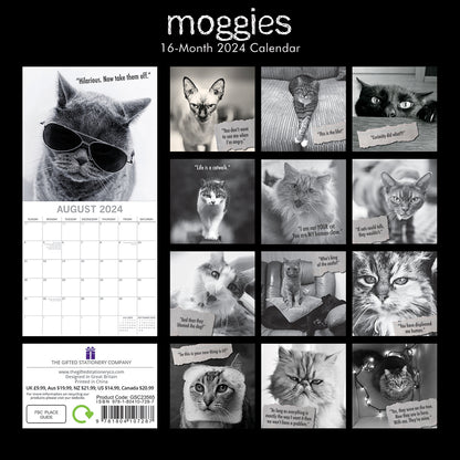 Moggies - 2024 Square Wall Calendar Pets Animals 16 Months Premium Planner Gift V474-615355