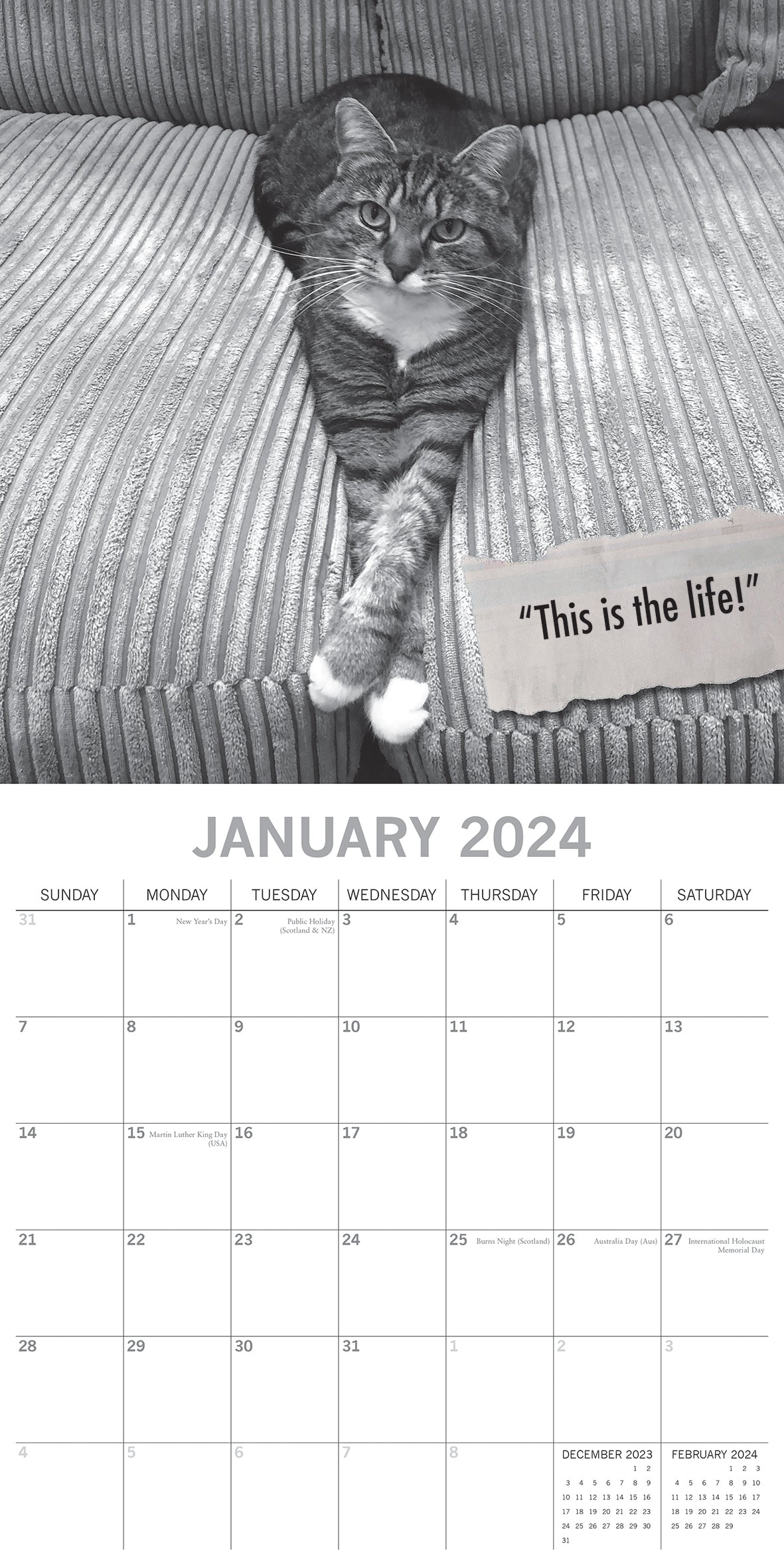 Moggies - 2024 Square Wall Calendar Pets Animals 16 Months Premium Planner Gift V474-615355