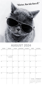 Moggies - 2024 Square Wall Calendar Pets Animals 16 Months Premium Planner Gift V474-615355