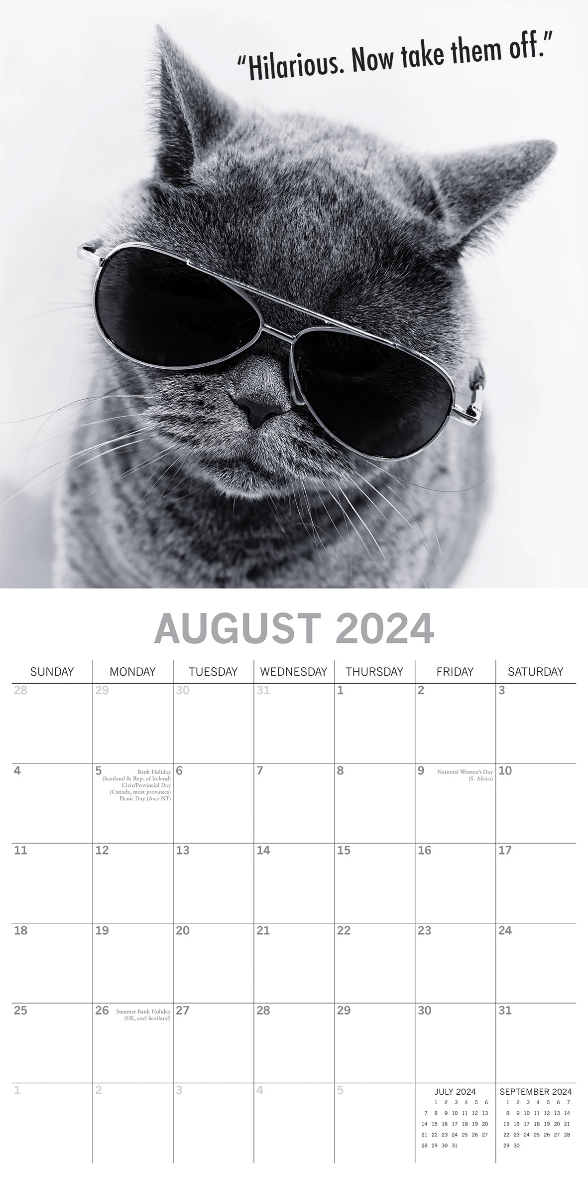 Moggies - 2024 Square Wall Calendar Pets Animals 16 Months Premium Planner Gift V474-615355