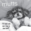 Mutts - 2024 Square Wall Calendar Pets Animals 16 Month Premium Planner New Year V474-615356