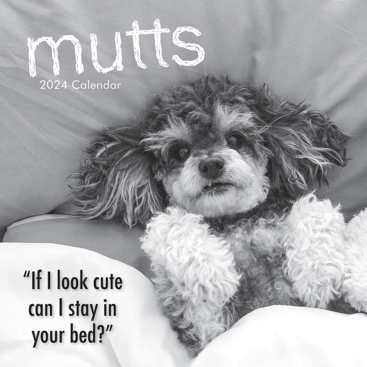 Mutts - 2024 Square Wall Calendar Pets Animals 16 Month Premium Planner New Year V474-615356