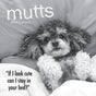 Mutts - 2024 Square Wall Calendar Pets Animals 16 Month Premium Planner New Year V474-615356