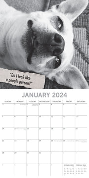 Mutts - 2024 Square Wall Calendar Pets Animals 16 Month Premium Planner New Year V474-615356