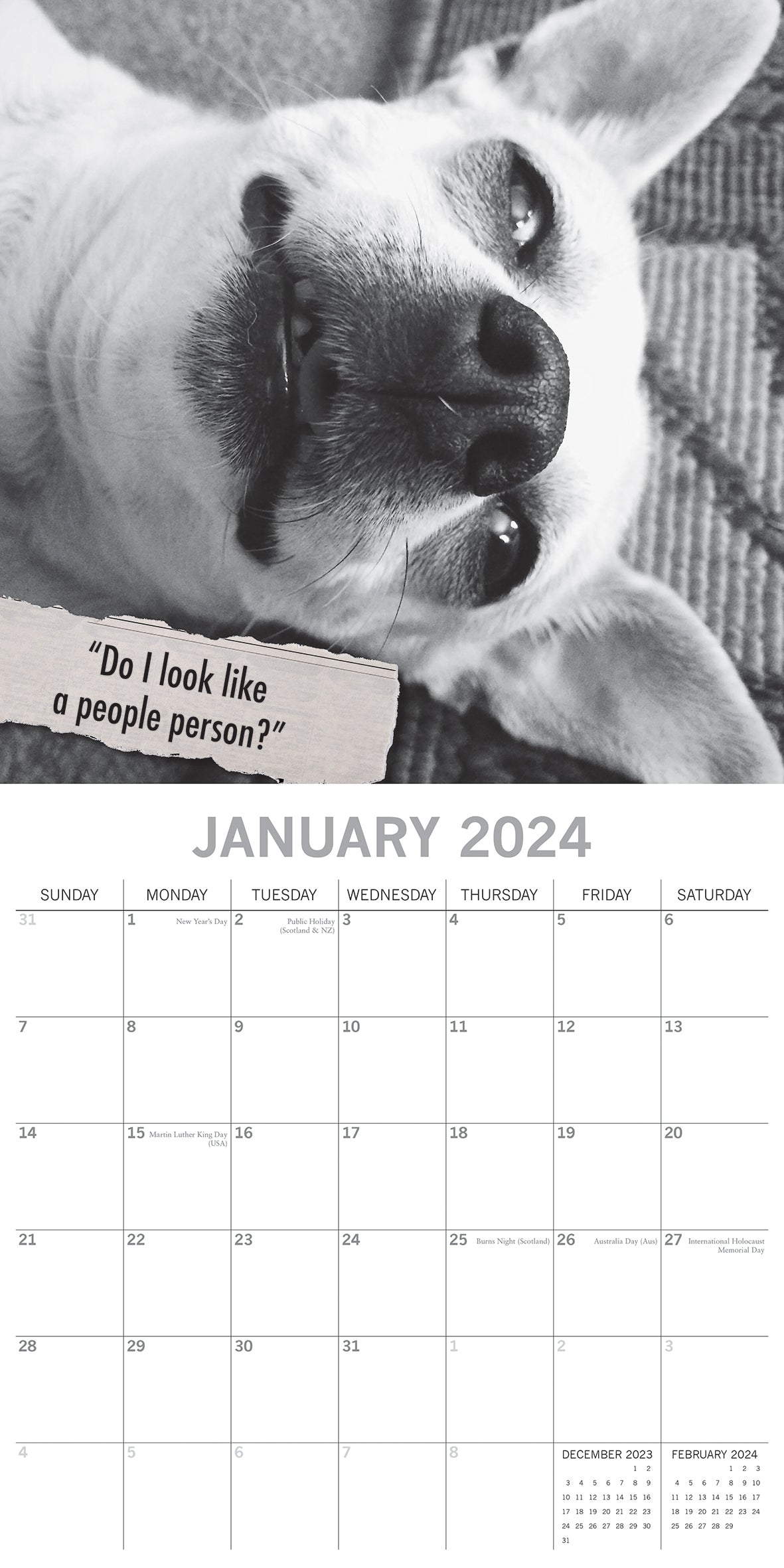 Mutts - 2024 Square Wall Calendar Pets Animals 16 Month Premium Planner New Year V474-615356