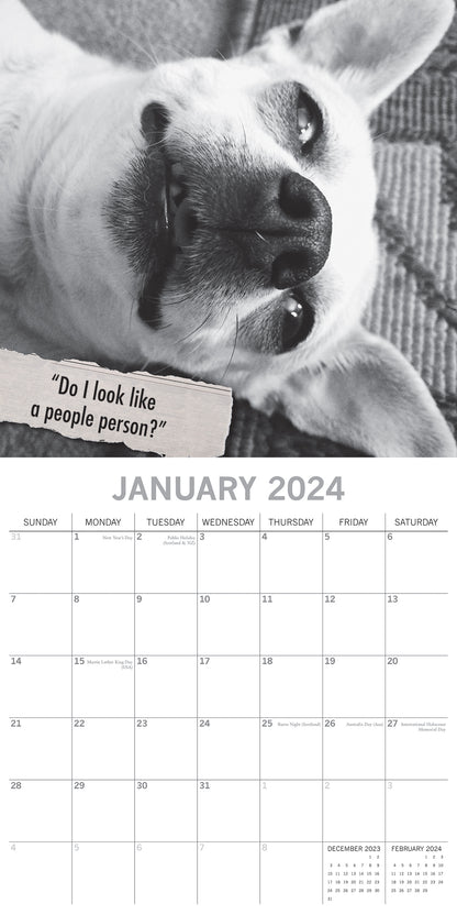 Mutts - 2024 Square Wall Calendar Pets Animals 16 Month Premium Planner New Year V474-615356