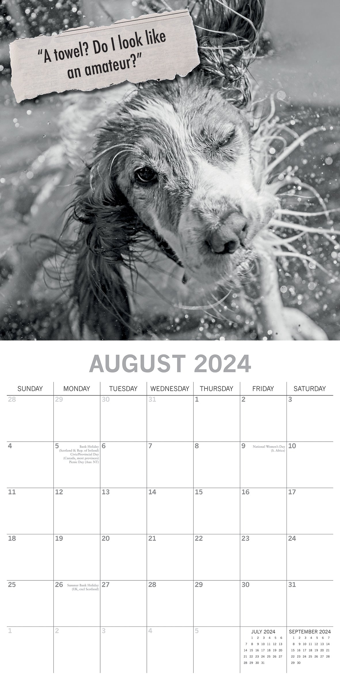 Mutts - 2024 Square Wall Calendar Pets Animals 16 Month Premium Planner New Year V474-615356